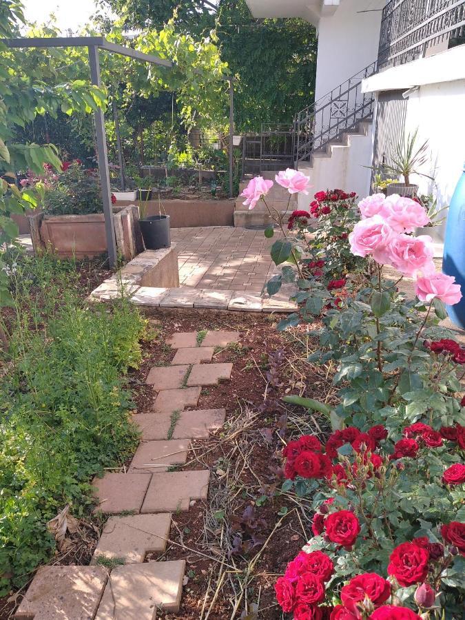Aparttoni Dobra Voda Exterior foto